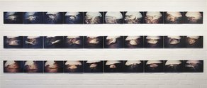 Darren George, Every Fish I Caught, 2005-2010, C-type negative, 70mm x 30.5 m