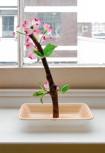 Steve Carr, Deadwood 2, 2010, found branches, fake flowers, supermarket trays, glue, dimensions vary