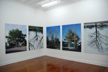 Ann Shelton, In a Forest, installed at Starkwhite