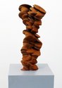 Tony Cragg, Mixed Feelings, 2011, steel, 620 x 270  260 mm