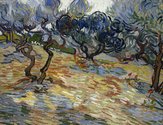Vincent van Gogh, Olive Trees, oil on canvas. Scottish National Gallery © Trustees of the National Galleries of Scotland  