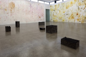On the floor, Maria Taniguchi, Muses, cement, black oxide, hessian,2012. On the walls, Adam Avikainen works. Right: Traansnikko, 2012, turmeric, ginger, oil of oregano, water on 3M paper. Left, Drift Gene, beets, ginger, oil of oregano, water on 3M paper.