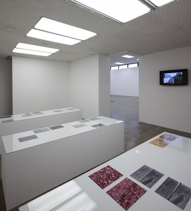 Sean Snyder's video Alalepsis, 2004, on the wall. Video without sound. On the three plinths, photographs from 2009, Untitled (ideological material, printed materials, celluloid); Untitled (digital image sensing devices, LCD screens). Photo Sam Hartnett