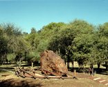 El Chaco meteorite, Campo del Cielo, near Gancedo, Chaco, Argentina