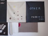 Christina Read's Other Possibilities at Enjoy. Detail