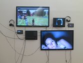 Gretta Louw, Controlling Connectivity, multi-media installation