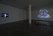 Gregory Bennett's Dromospheres at Two Rooms, showing Dromosphere 1, HD video, looped duration 7.47 mins, and Florotopia 1.