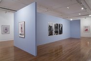 Pat Brassington, A Rebours at Te Tuhi. Left to right: Tell, 2006, pigment print; By The Way, 2010, pigment print; Untitled, 1989, 3 silver gelatin prints. Photo by Sam Hartnett