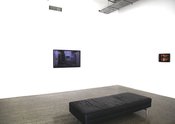 Masahiro Wada, Stylish flies for Housewives (2012-13), single channel film installation/monitor, photograph, timber, sofa, flies