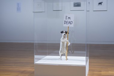 David Shrigley,  I’m Dead 2010  Mixed media.  British Council Collection. Installation view