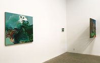 Zhonghao Chen's Environmental Freakology as installed at Jonthan Smart Gallery