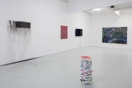 Painting: A Transitive Space (Phase Two) as installed in St Paul St Gallery Three. Photo: Sam Hartnett