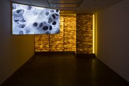 Sorawit Songsataya, Coyotes Running Oppposite Ways, 2016 (new commission), animated HD video (4 min 58 secs), glazed ceramics, twigs, felted wool fibre, machine-knitted mohair textile, inkjet prints on linen, jute wall, coloured fluorescent lighting. 