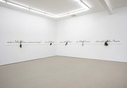 Oscar Enberg, Rôti sans pareil, 2018, acrylic, enamel on dado rail, bouquet garni, nails, 10400 x 1450 x 100 mm overall (installation dimensions variable)