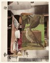John Stezaker, Aviary I, 2018, collage, 29.3 x 22.9 cm, courtesy of The Approach, London