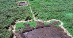 Photograph of excavations at Kuk Swamp, Wahgi valley. Taken from the website of UNESCO's World Heritage Centre. 
