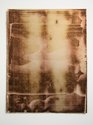 Leigh Martin, Mass-untitled #04, 2016, acrylic on Fabriano 640gsm 10% cotton rag paper, 510 x 390 mm. Photo: Sam Hartnett