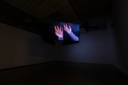 Ed Atkins, Safe Conduct, 2016, Collection Art Gallery of New South Wales, Sydney.  Photo: Harry Culy