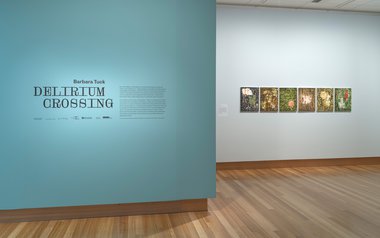 Barbara Tuck: Delirium Crossing (installation view), Christchurch Art Gallery Te Puna o Waiwhetū, 2022-23. This exhibition has been developed as a partnership between Anna Miles Gallery, Ramp Gallery and Te Pātaka Toi Adam Art Gallery.