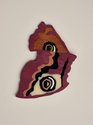 Octavia Cook, E (Emperor Moth) brooch, 2022, purple heart wood, kauri, acrylic, silver, 113 x 70 x 5 mm--front